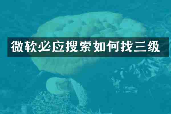 微软必应搜索如何找三级