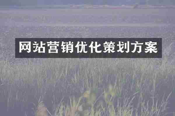 网站营销优化策划方案