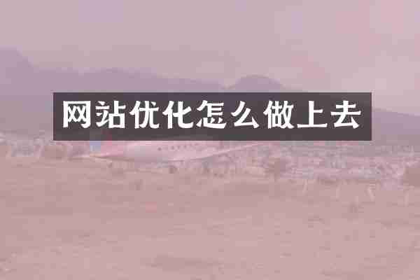 网站优化怎么做上去