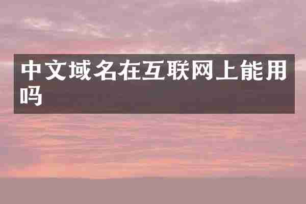 中文域名在互联网上能用吗