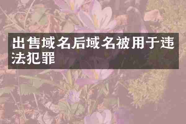 出售域名后域名被用于违法犯罪