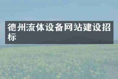 德州流体设备网站建设招标