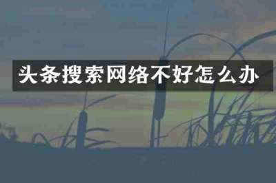 头条搜索网络不好怎么办