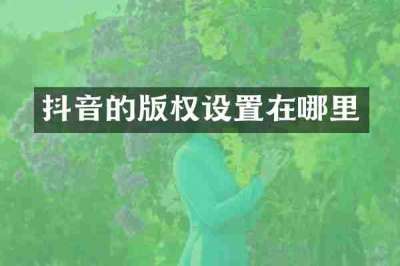 抖音的版权设置在哪里