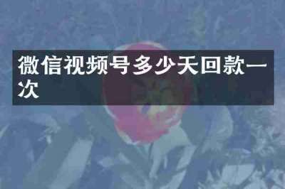 微信视频号多少天回款一次