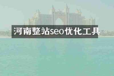 河南整站seo优化工具