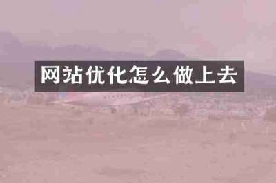网站优化怎么做上去