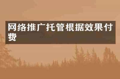 网络推广托管根据效果付费