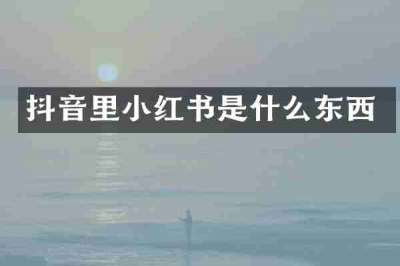 抖音里小红书是什么东西