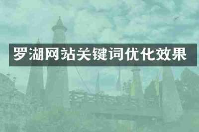 罗湖网站关键词优化效果