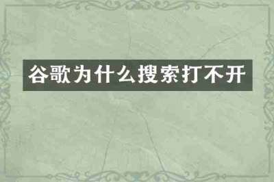 谷歌为什么搜索打不开