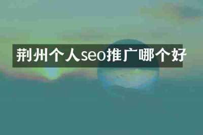 荆州个人seo推广哪个好