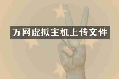 万网虚拟主机上传文件