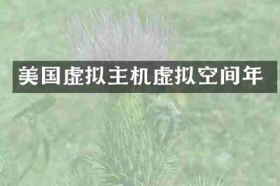 美国虚拟主机虚拟空间年