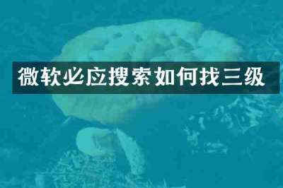 微软必应搜索如何找三级