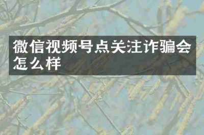 微信视频号点关注诈骗会怎么样