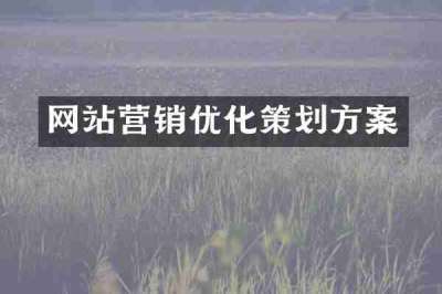 网站营销优化策划方案