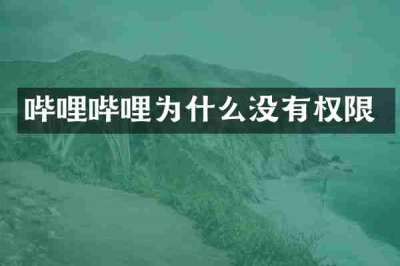哔哩哔哩为什么没有权限