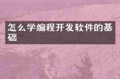 怎么学编程开发软件的基础