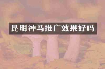 昆明神马推广效果好吗