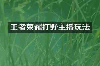 王者荣耀打野主播玩法