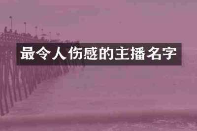 最令人伤感的主播名字