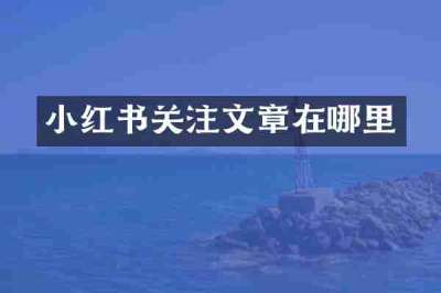 小红书关注文章在哪里