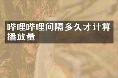哔哩哔哩间隔多久才计算播放量