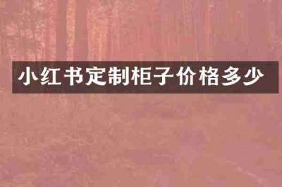 小红书定制柜子价格多少