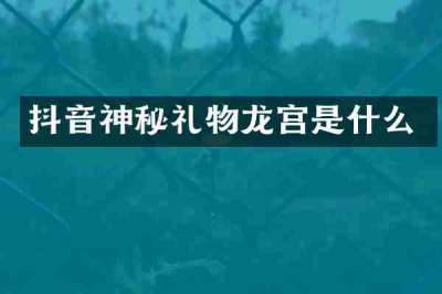 抖音神秘礼物龙宫是什么