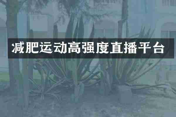 减肥运动高强度直播平台