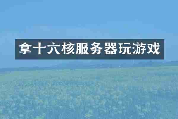 拿十六核服务器玩游戏