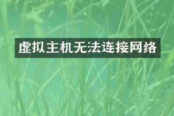 虚拟主机无法连接网络