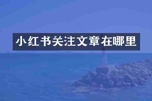 小红书关注文章在哪里