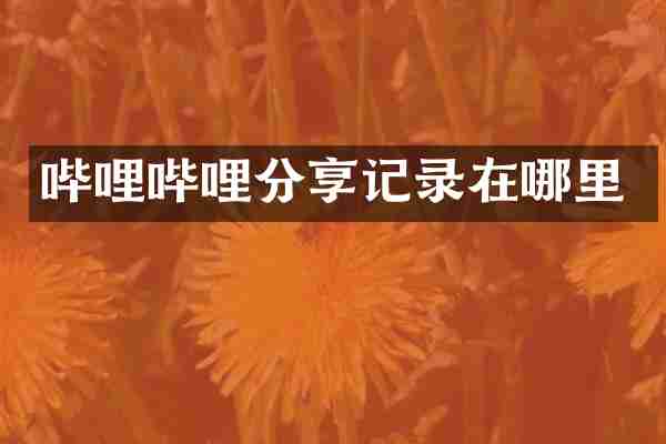 哔哩哔哩分享记录在哪里
