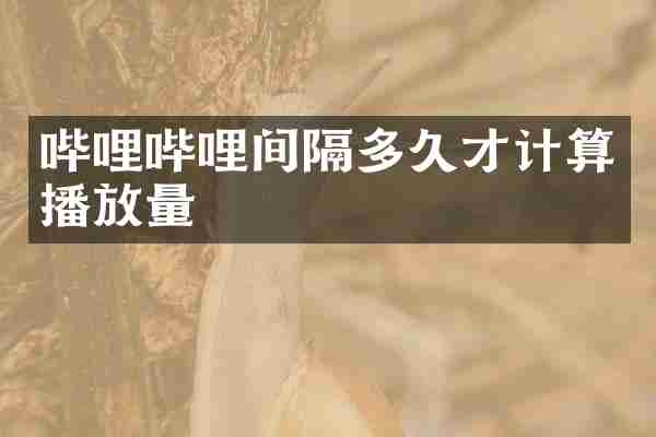 哔哩哔哩间隔多久才计算播放量