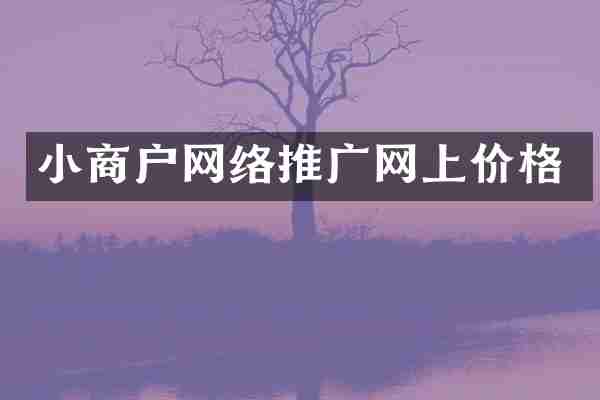 小商户网络推广网上价格