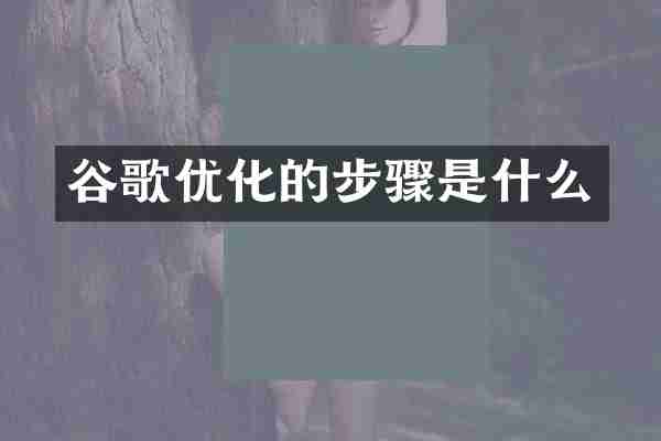 谷歌优化的步骤是什么