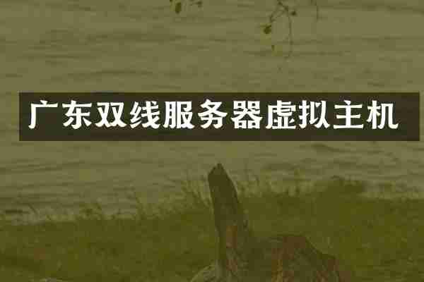 广东双线服务器虚拟主机