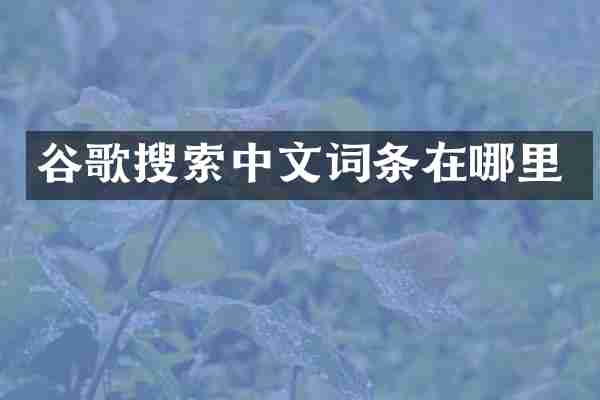 谷歌搜索中文词条在哪里