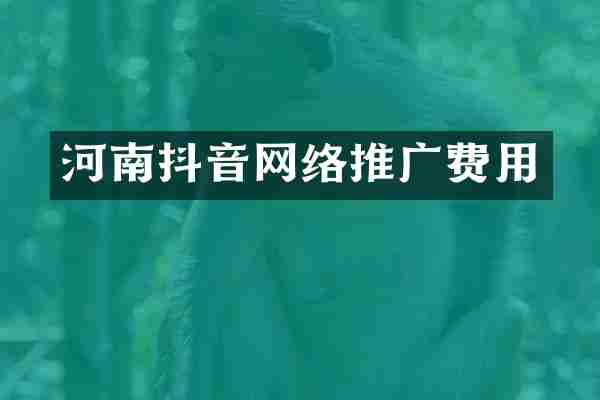 河南抖音网络推广费用