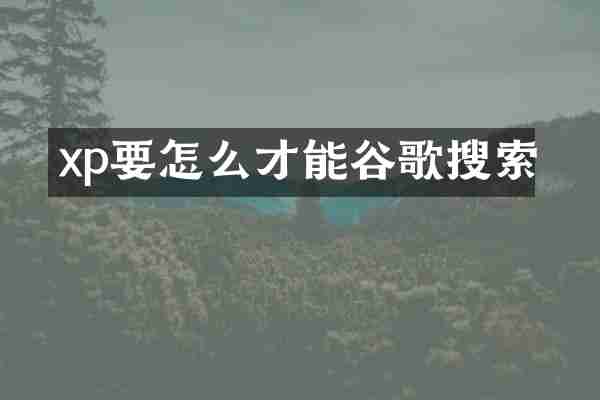 xp要怎么才能谷歌搜索