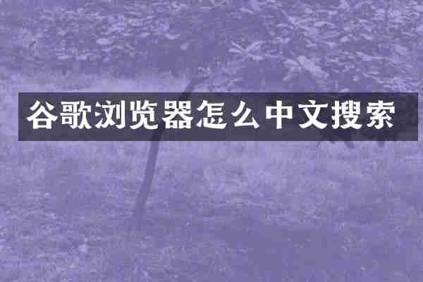 谷歌浏览器怎么中文搜索