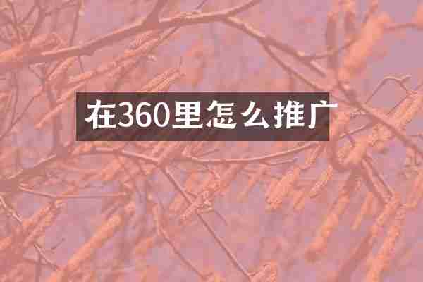 在360里怎么推广