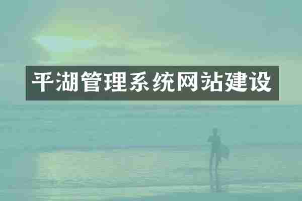 平湖管理系统网站建设