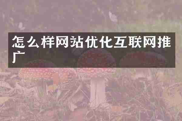 怎么样网站优化互联网推广