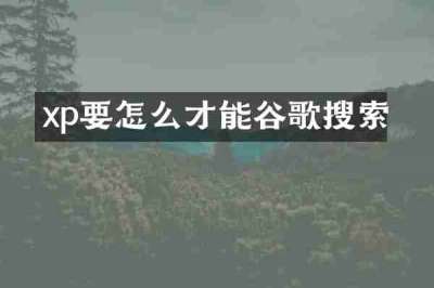 xp要怎么才能谷歌搜索