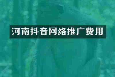 河南抖音网络推广费用