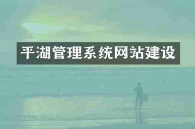 平湖管理系统网站建设