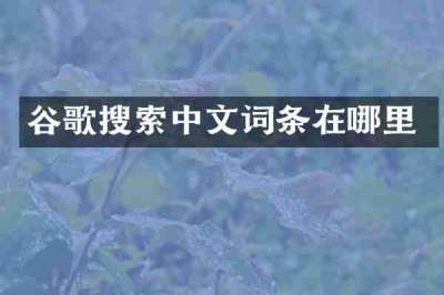 谷歌搜索中文词条在哪里